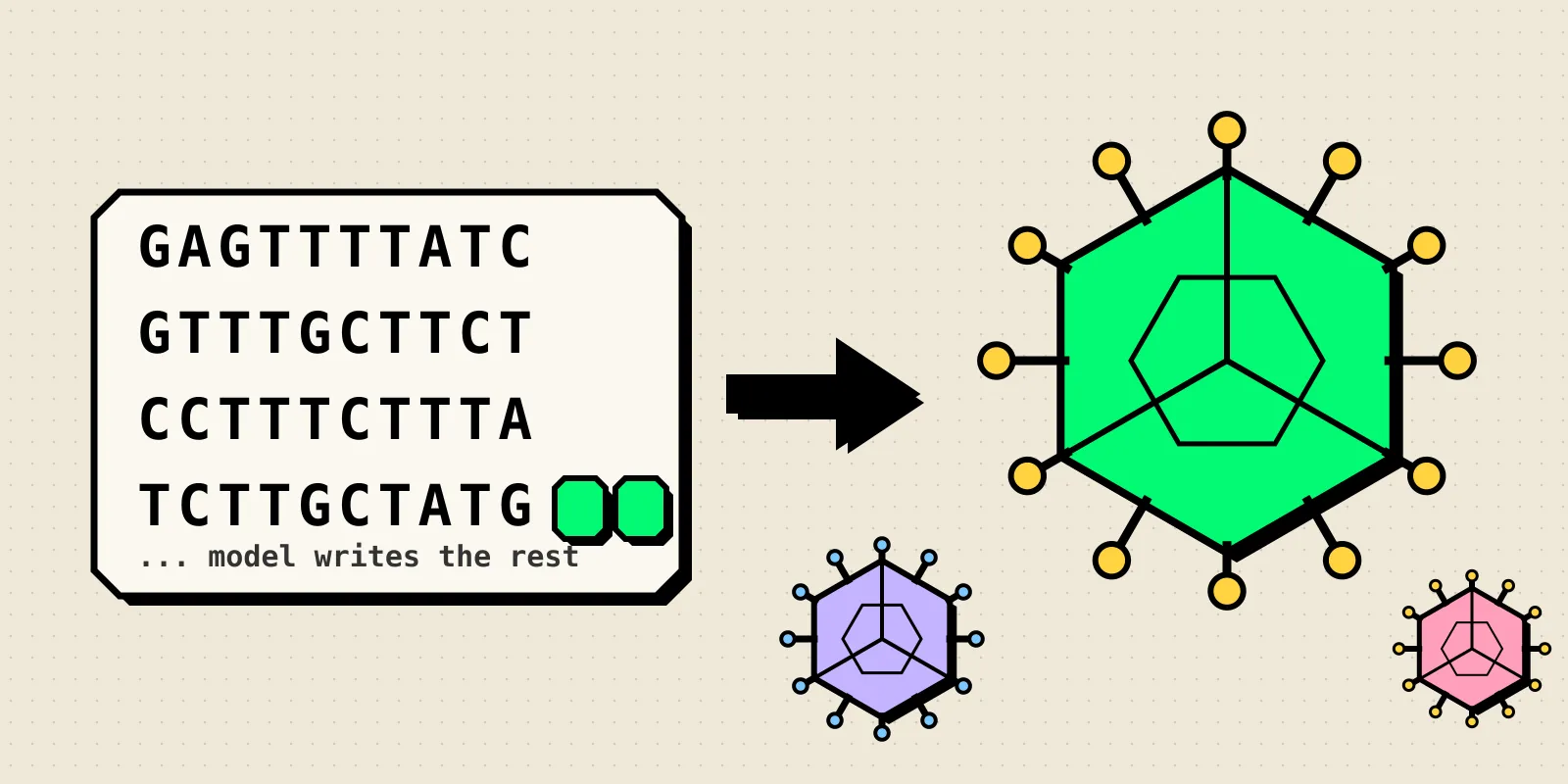 A panel of DNA letters with two green blocks continuing the sequence, an arrow, and three illustrated icosahedral bacteriophages in neobrutalist style.