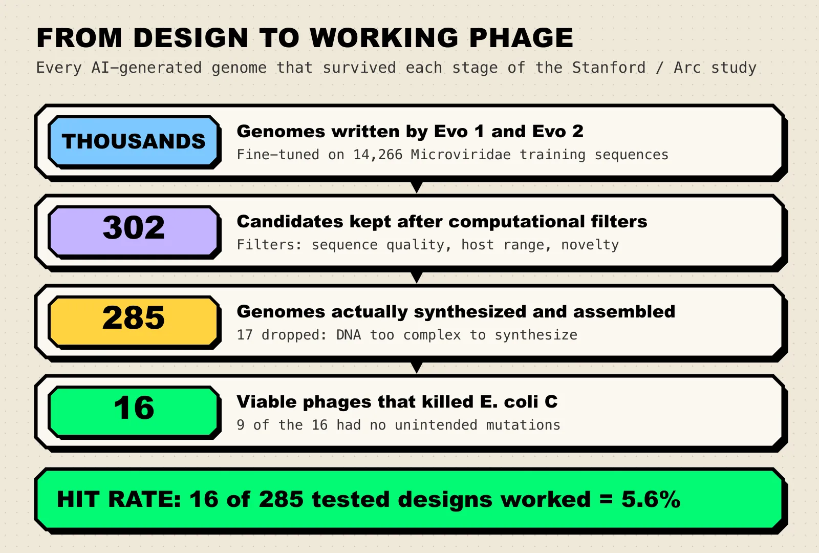 Funnel chart: thousands of genomes generated, 302 candidates after filtering, 285 synthesized and assembled, 16 viable phages, a hit rate of 5.6%.