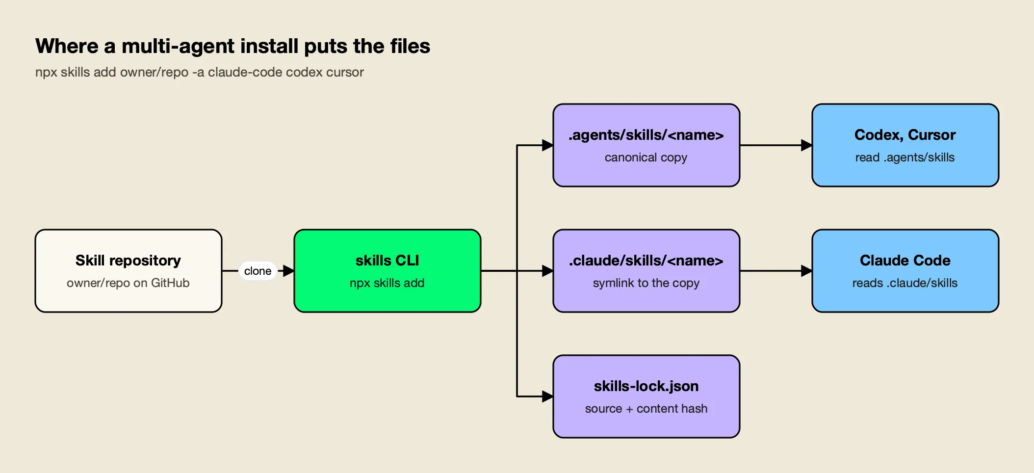 The skills CLI clones a repository, writes one canonical copy to the agents skills directory, symlinks the Claude Code directory to it, and records the install in skills-lock.json